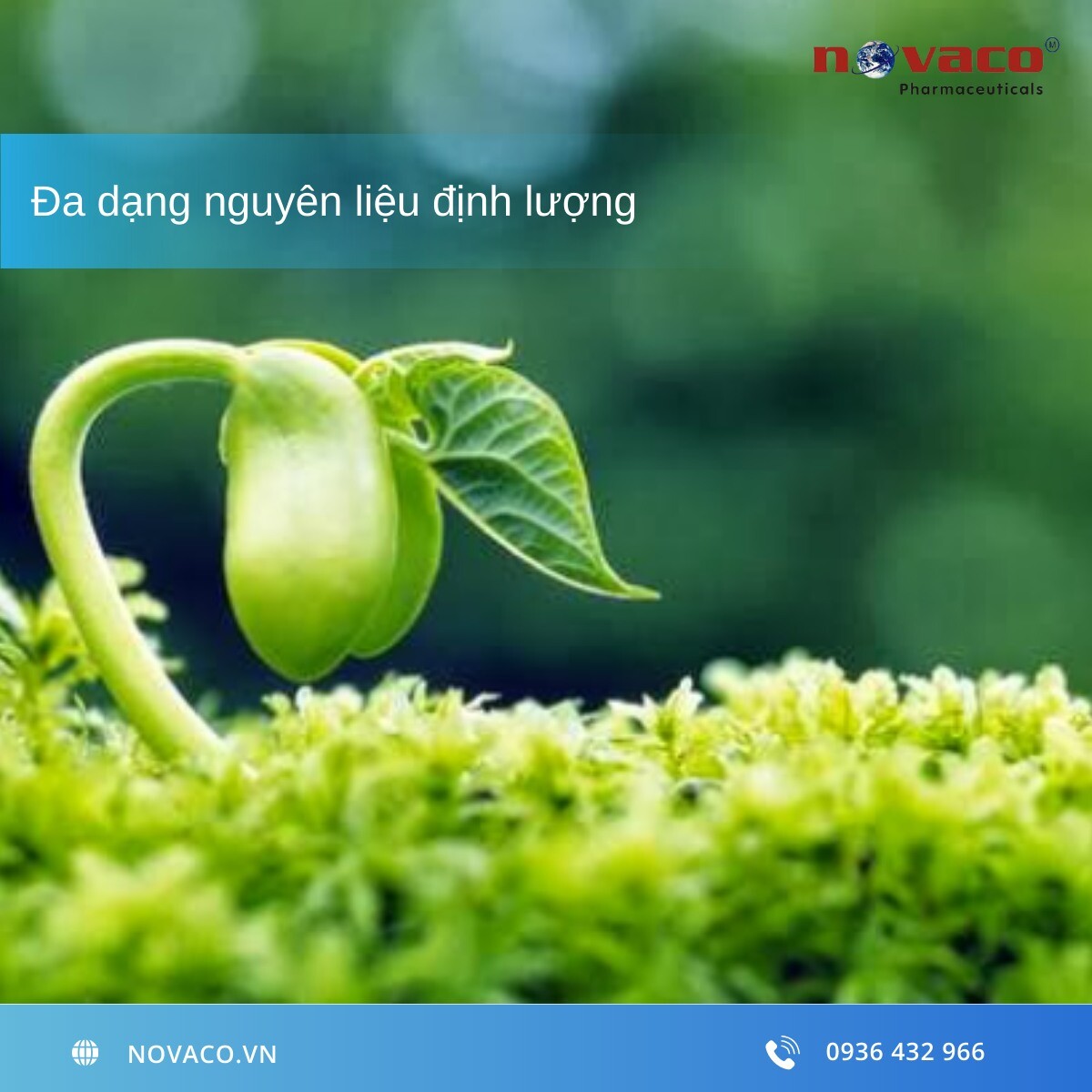 DƯỢC PHẨM NOVACO 2