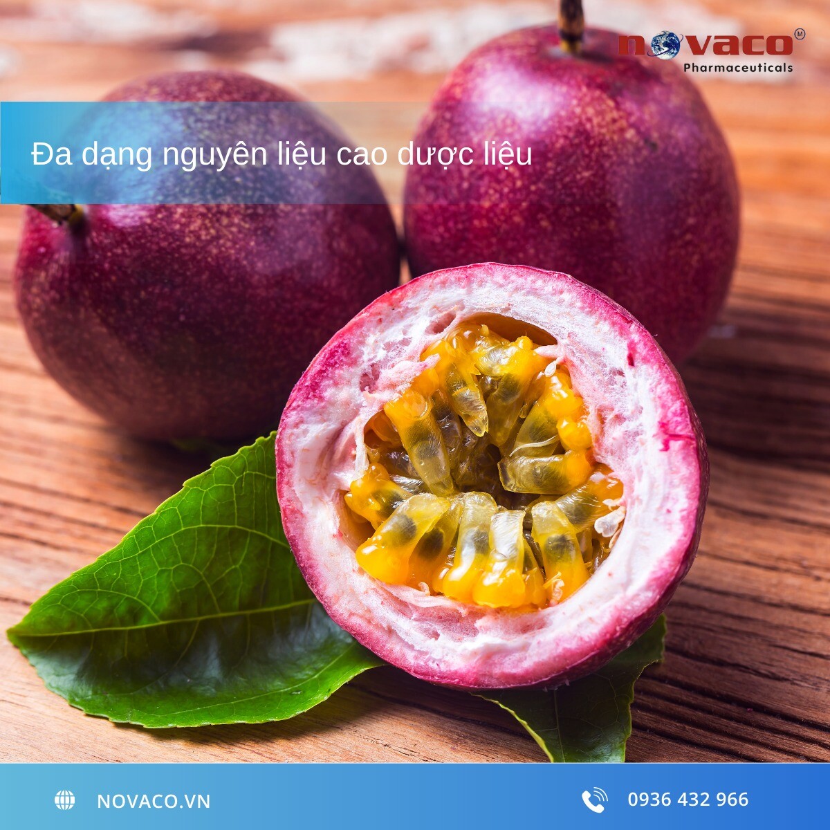 DƯỢC PHẨM NOVACO 6