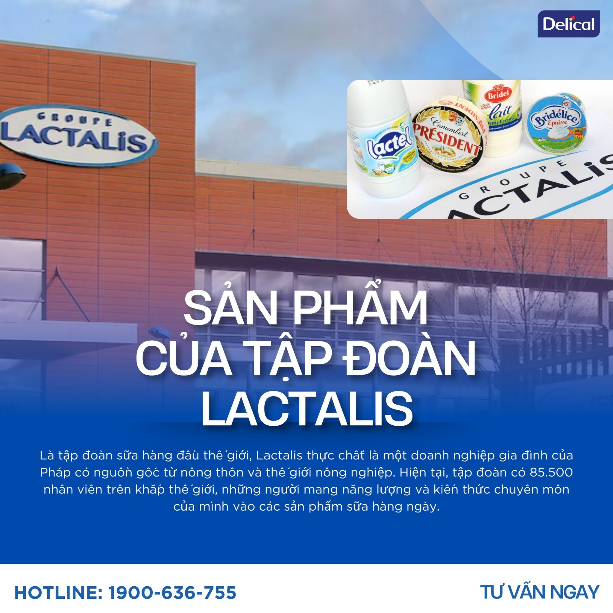 Thương Mại Và Dược Phẩm Thành An 9