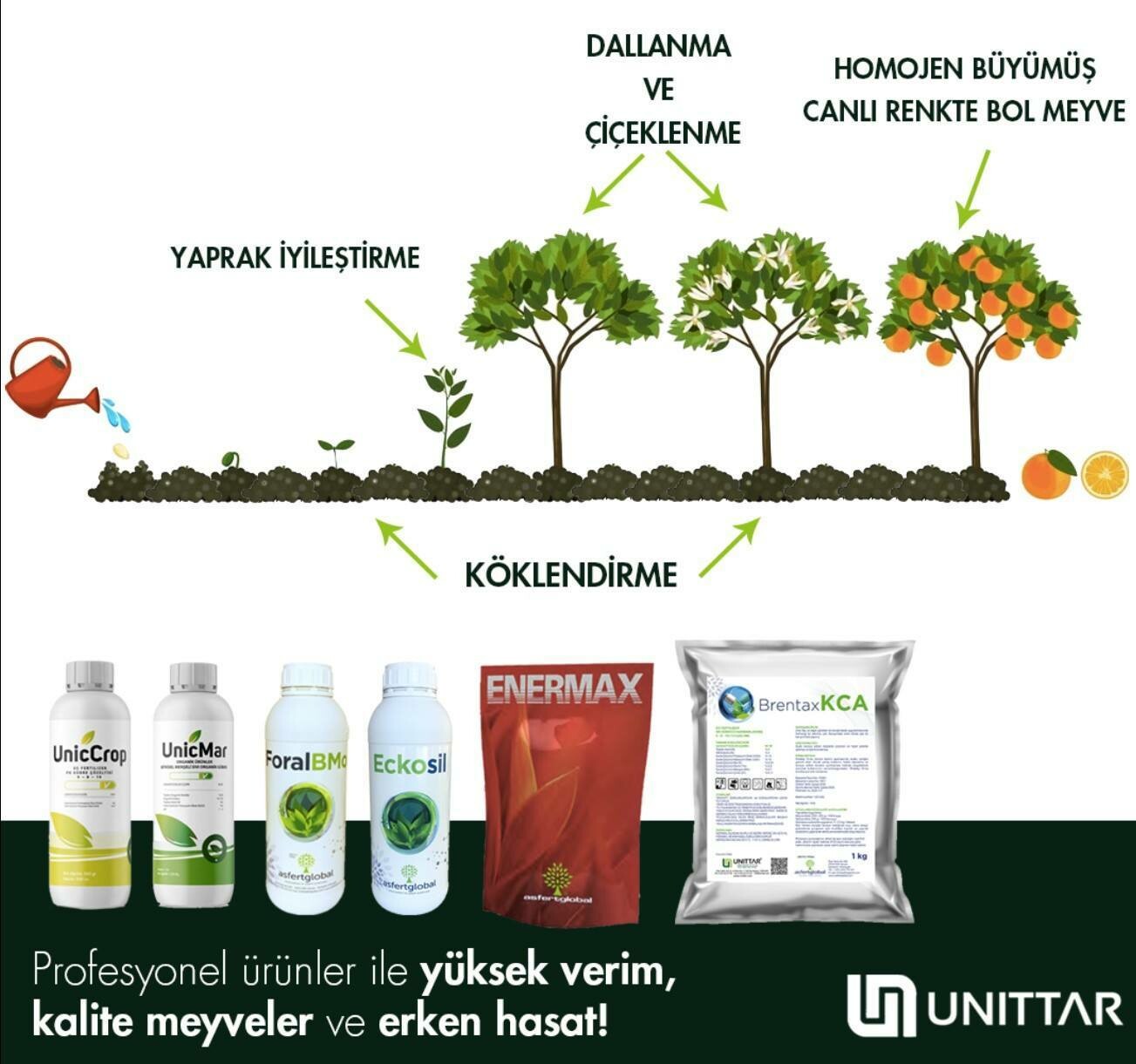 Nhà máy phân bón Bio Agrosa 9