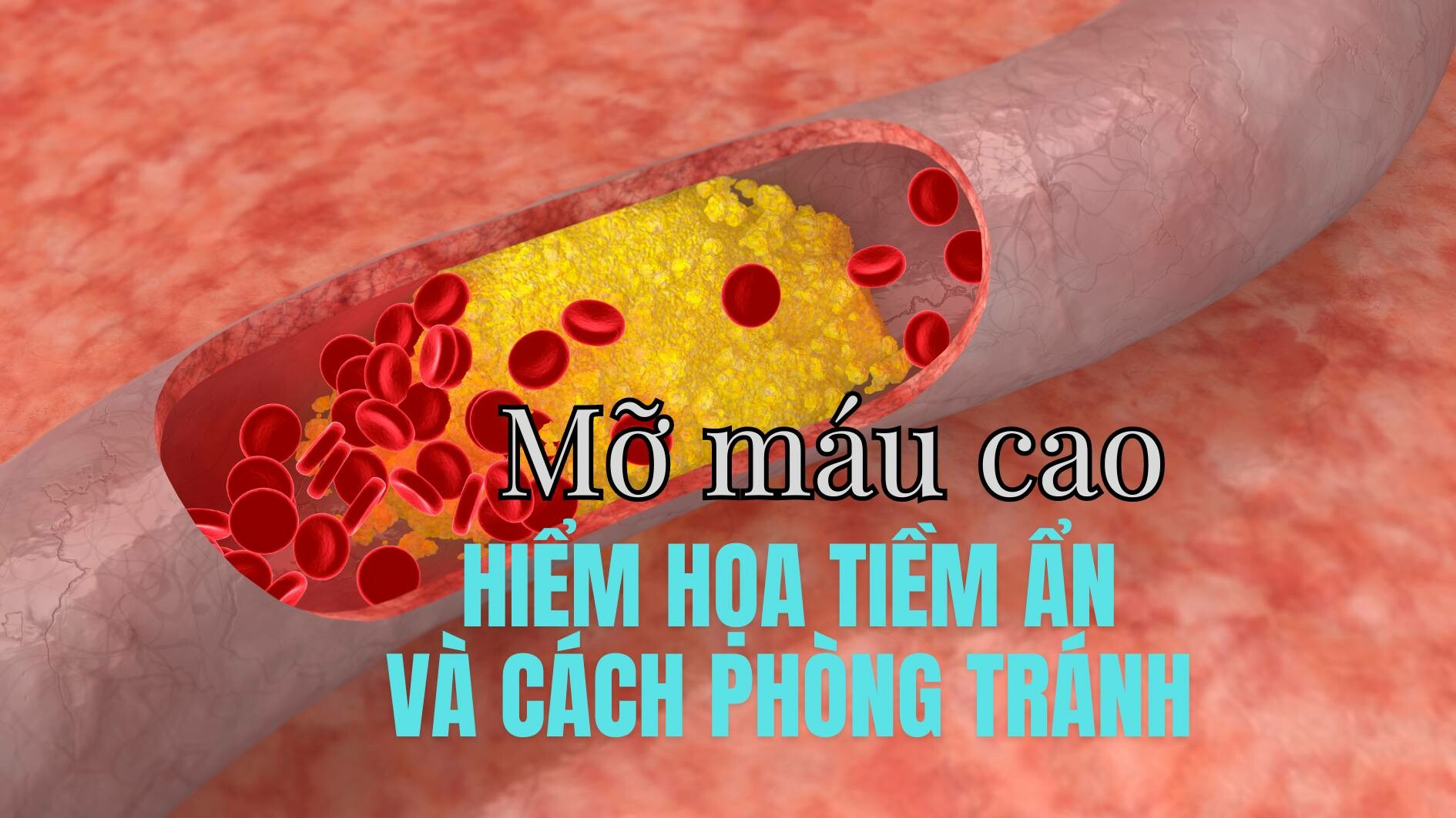 Dinh dưỡng Sức Khỏe Xanh 6