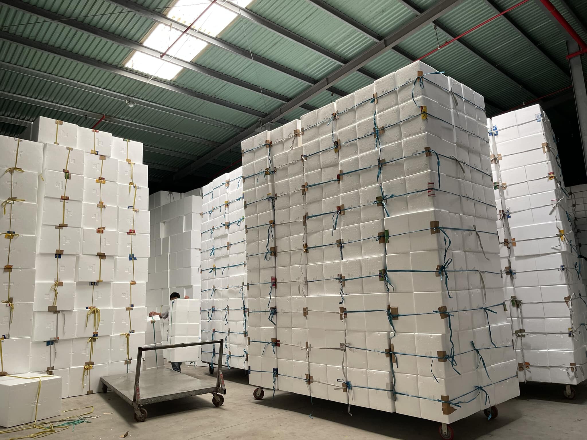 INSULPACK Đà Nẵng 4