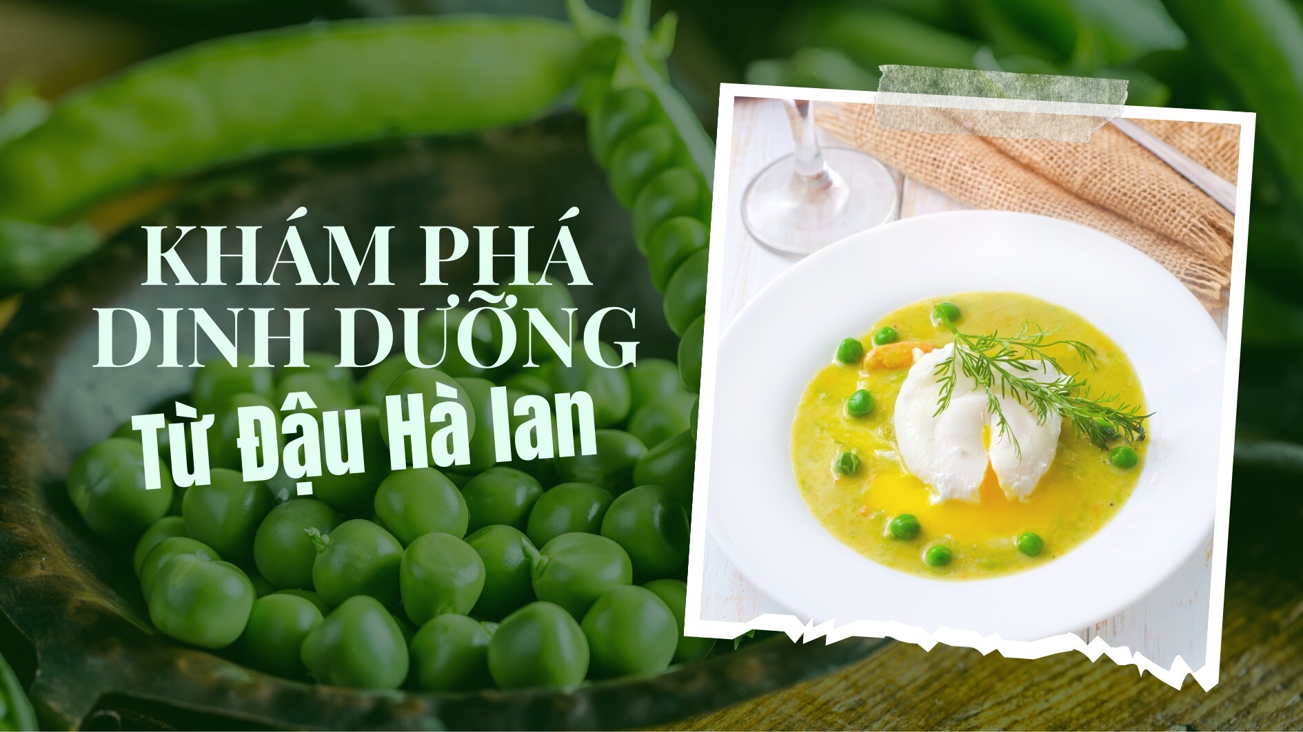 Dinh dưỡng Sức Khỏe Xanh 8