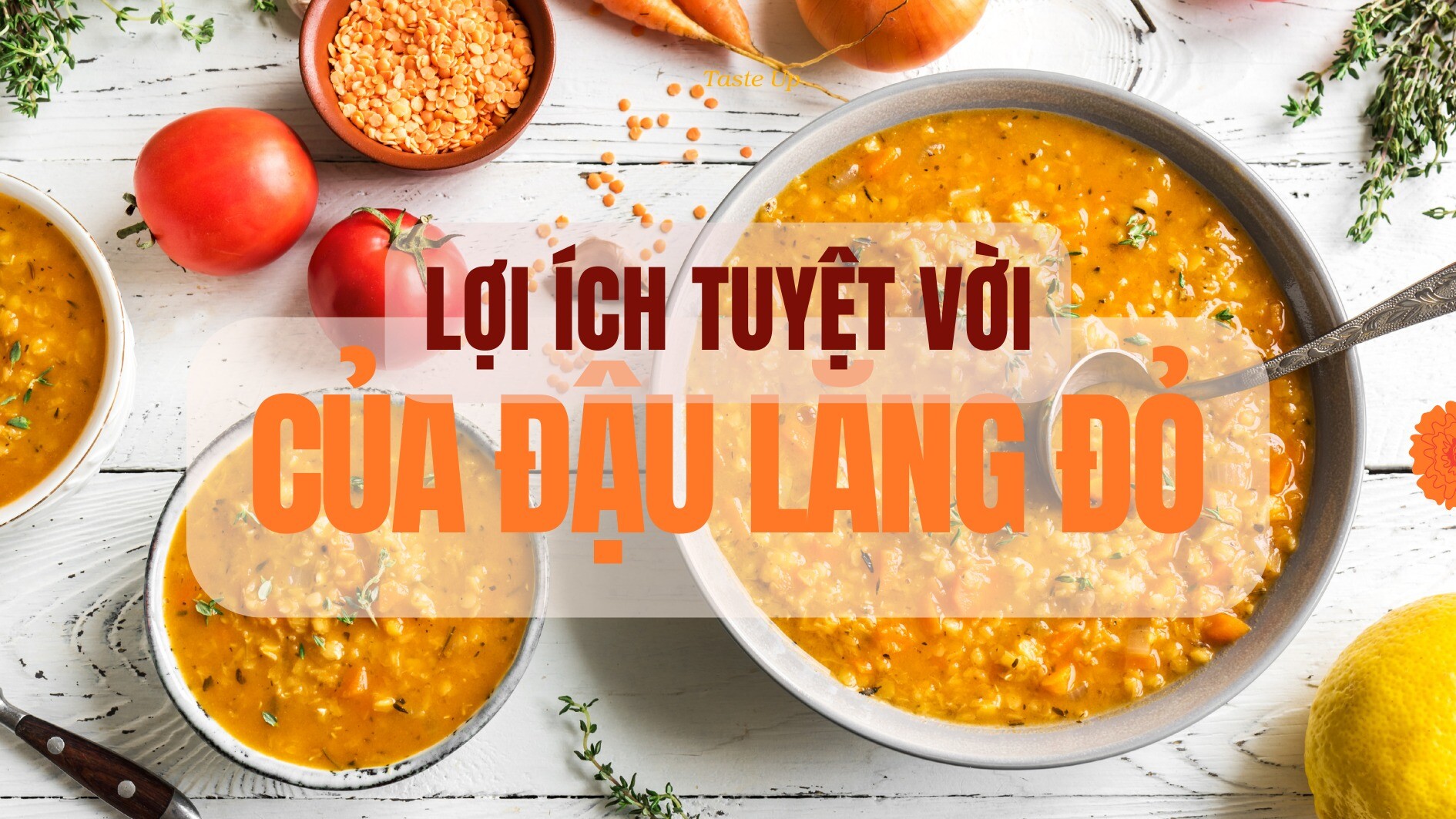 Dinh dưỡng Sức Khỏe Xanh 9