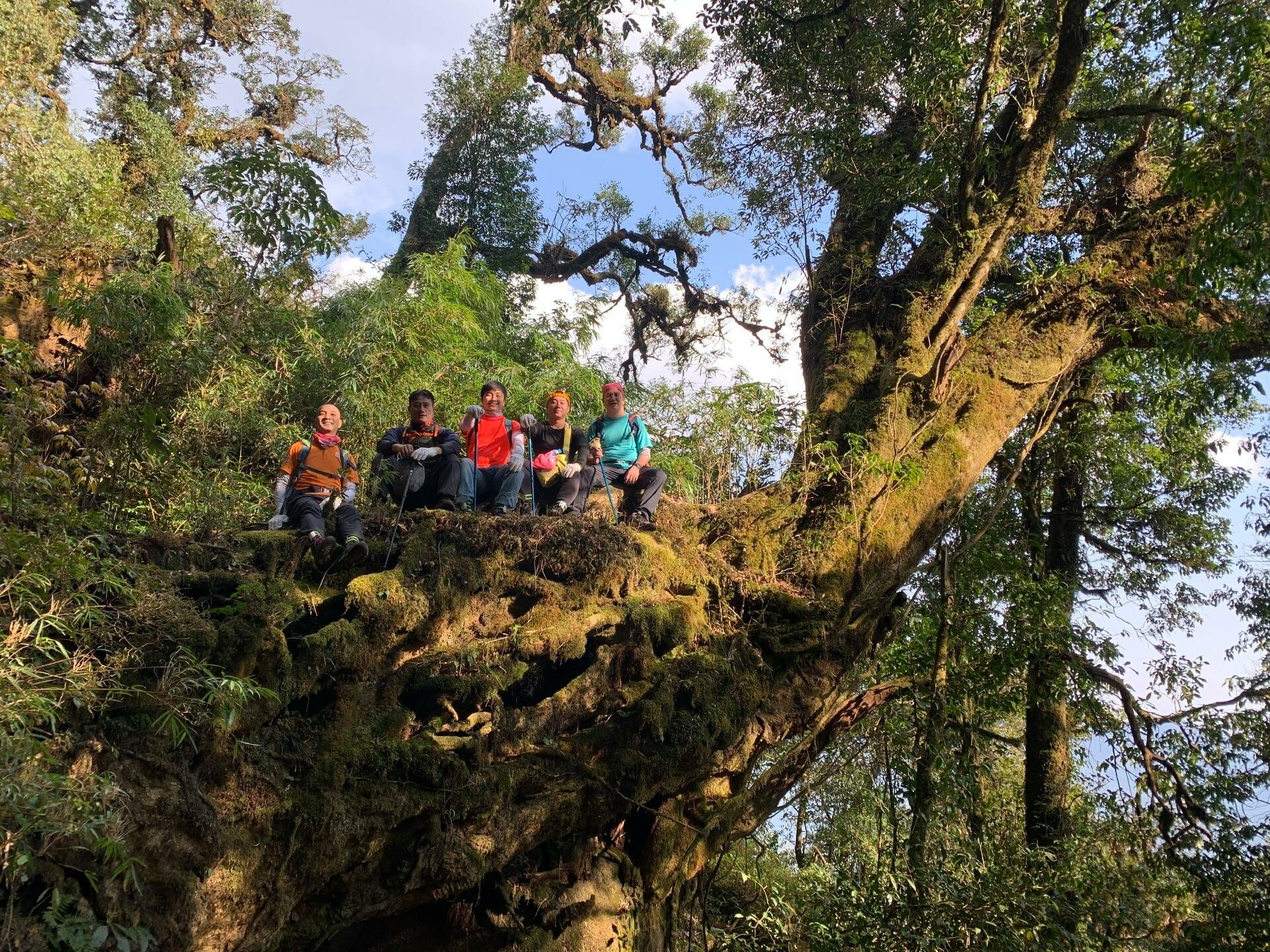 Dịch vụ du lịch Việt Trekking 12