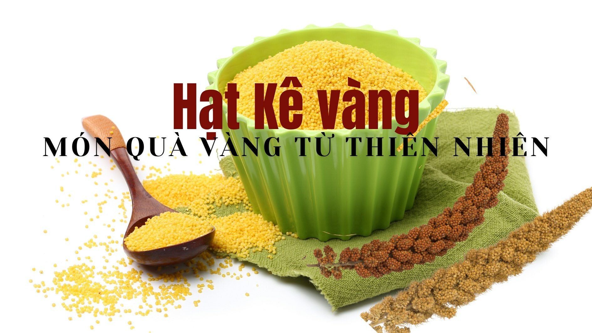 Dinh dưỡng Sức Khỏe Xanh 10