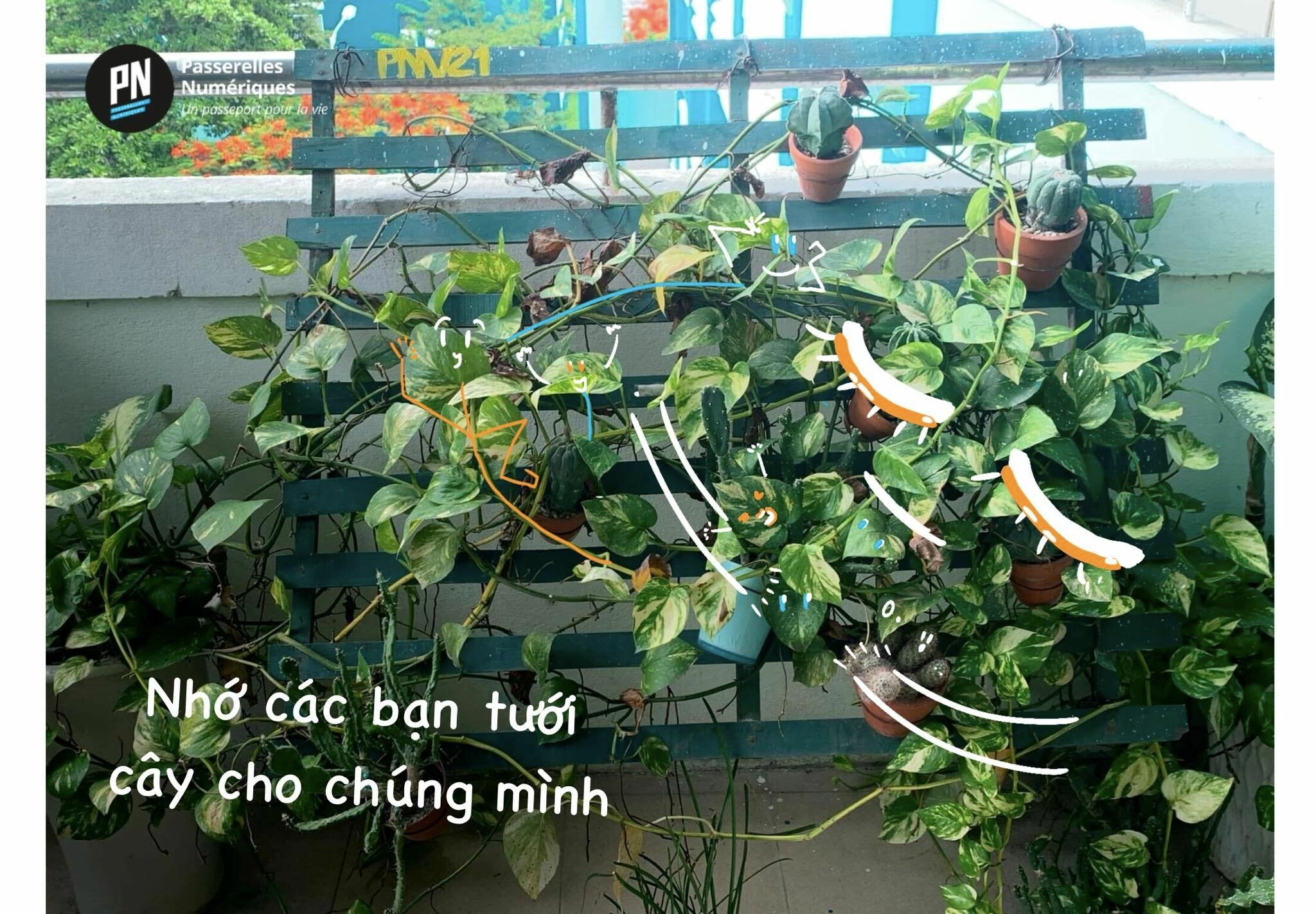 Passerelles Numeriques (PN) 3