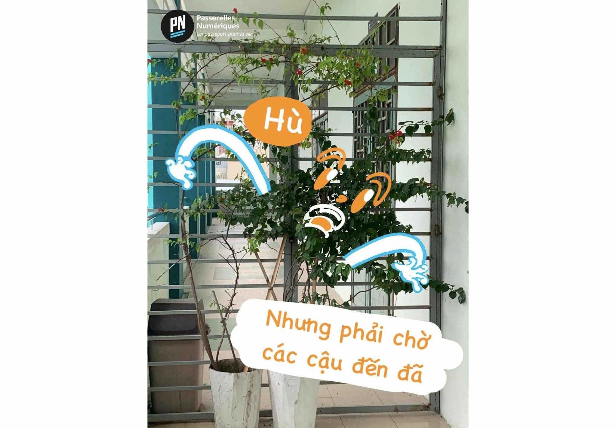 Passerelles Numeriques (PN) 4