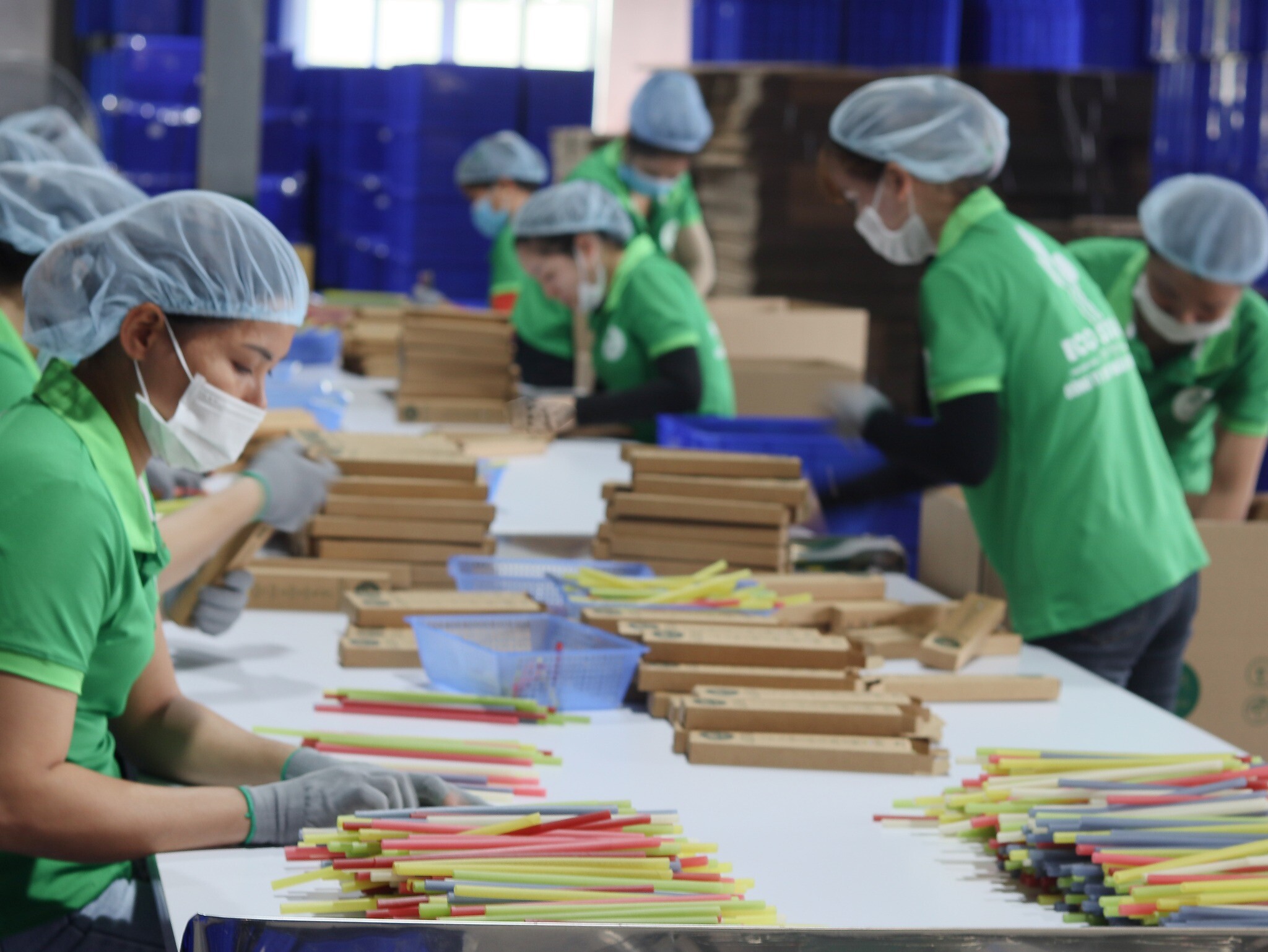 Xuất Khẩu ECO Straws Việt Nam 5