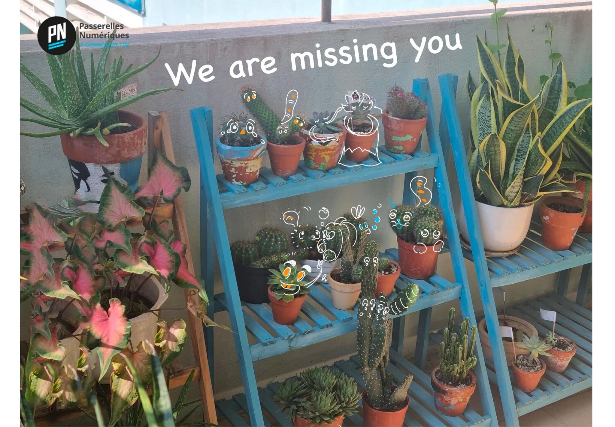 Passerelles Numeriques (PN) 1