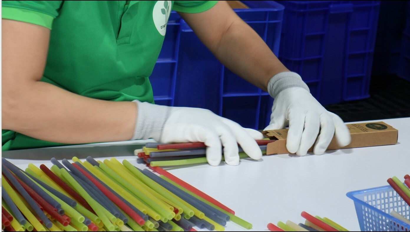 Xuất Khẩu ECO Straws Việt Nam 3