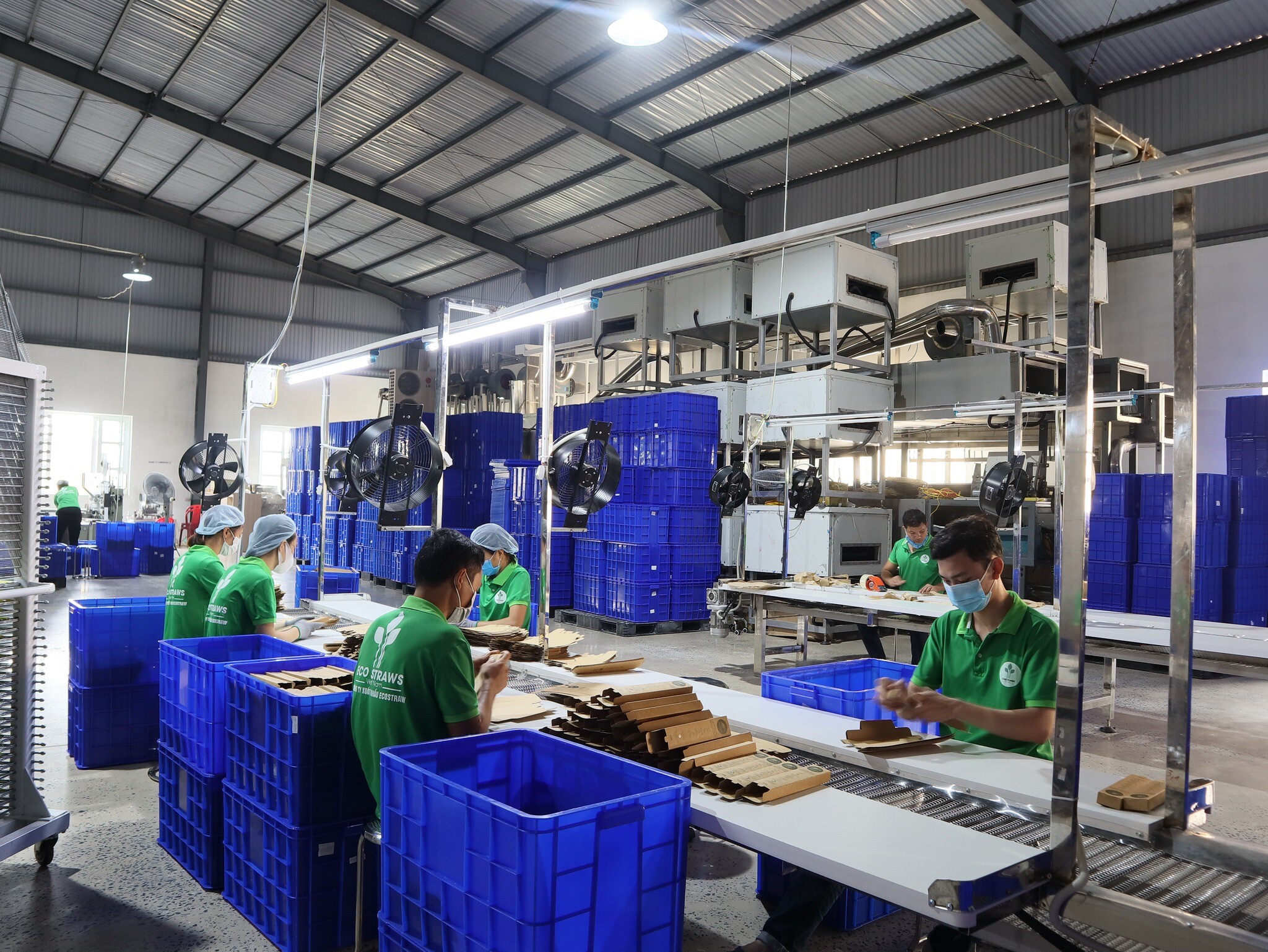 Xuất Khẩu ECO Straws Việt Nam 9