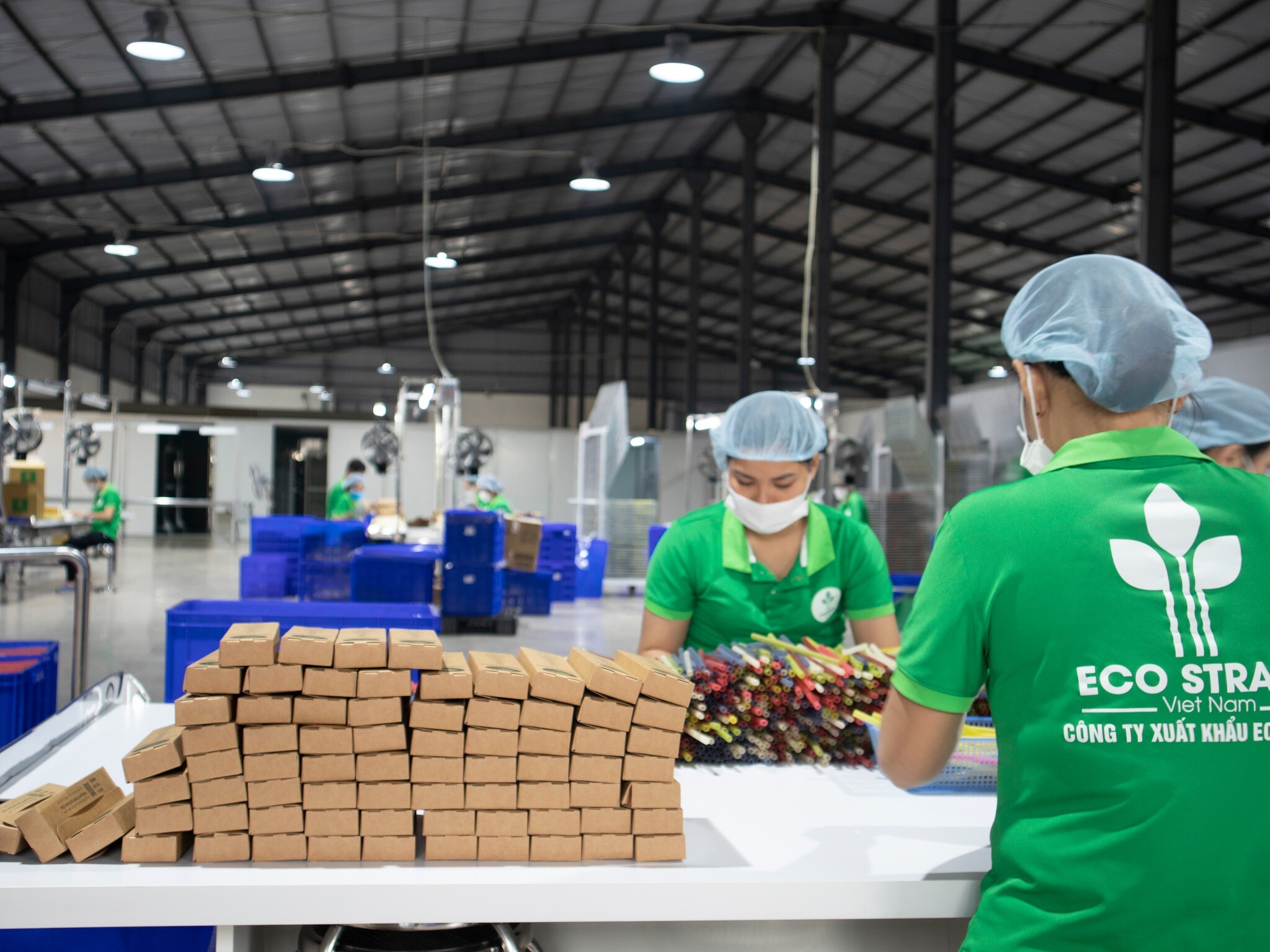 Xuất Khẩu ECO Straws Việt Nam 4