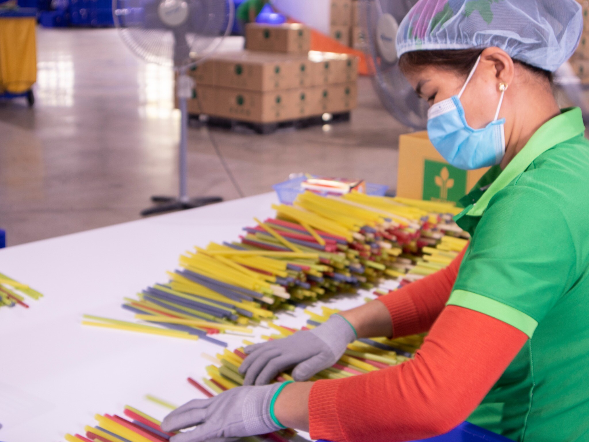 Xuất Khẩu ECO Straws Việt Nam 10