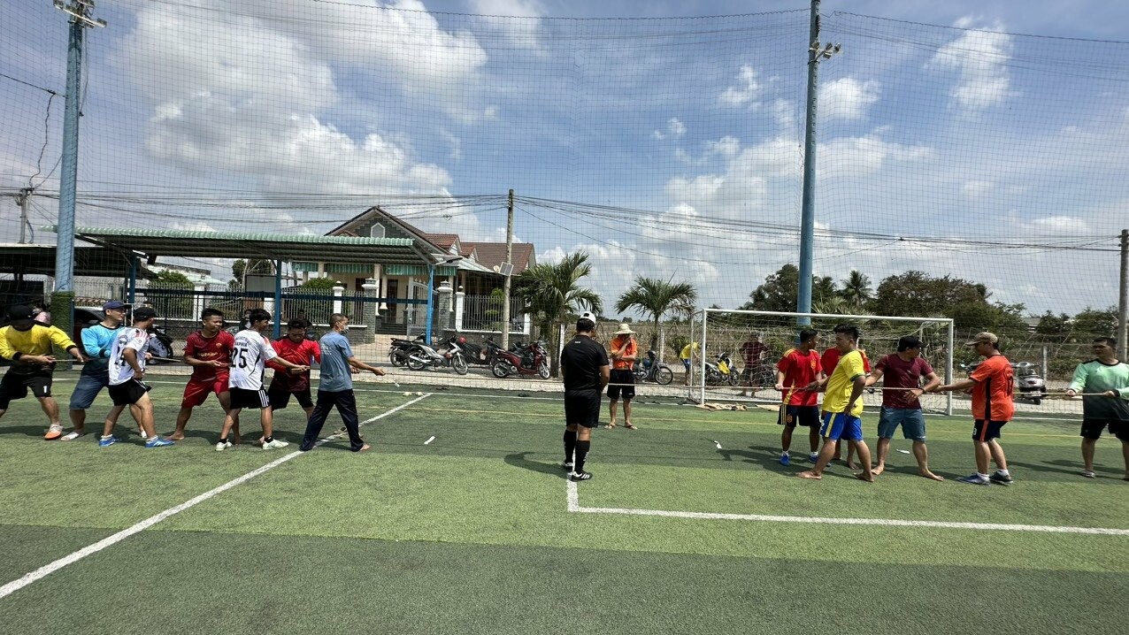 Bao Bì Saphia Việt Nam 7