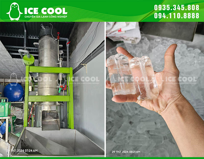 THỰC PHẨM XANH VIỆT NAM 2