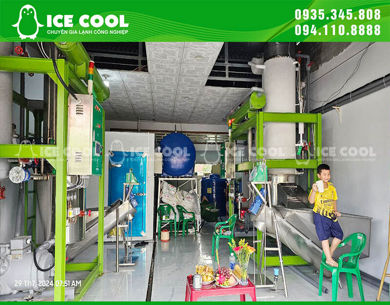 THỰC PHẨM XANH VIỆT NAM 1