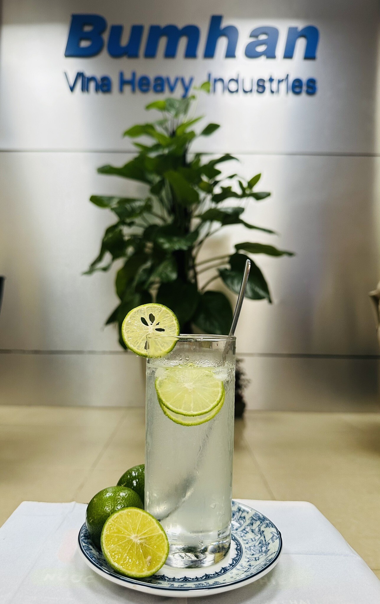 Công Nghiệp Nặng Bumhan Vina 9