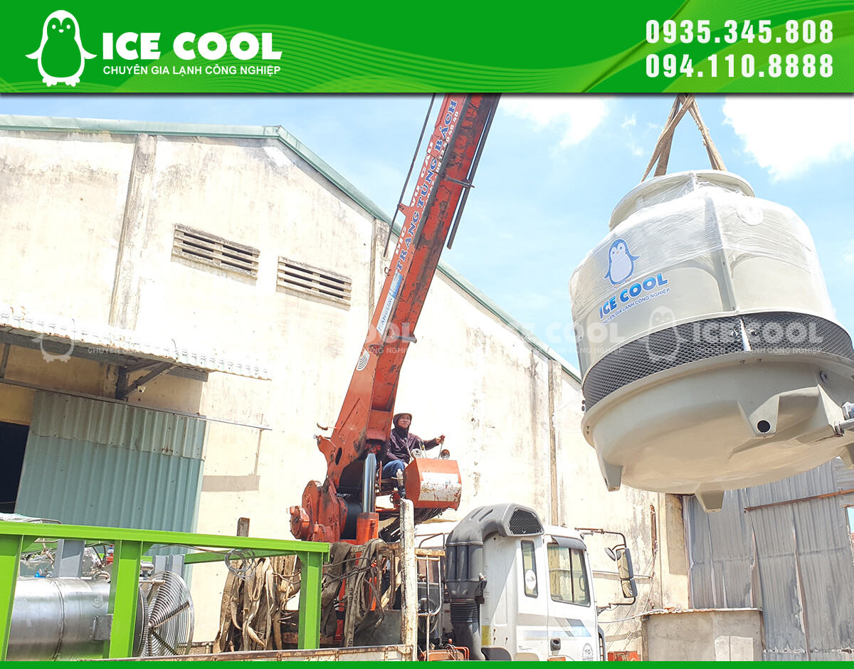 THỰC PHẨM XANH VIỆT NAM 9