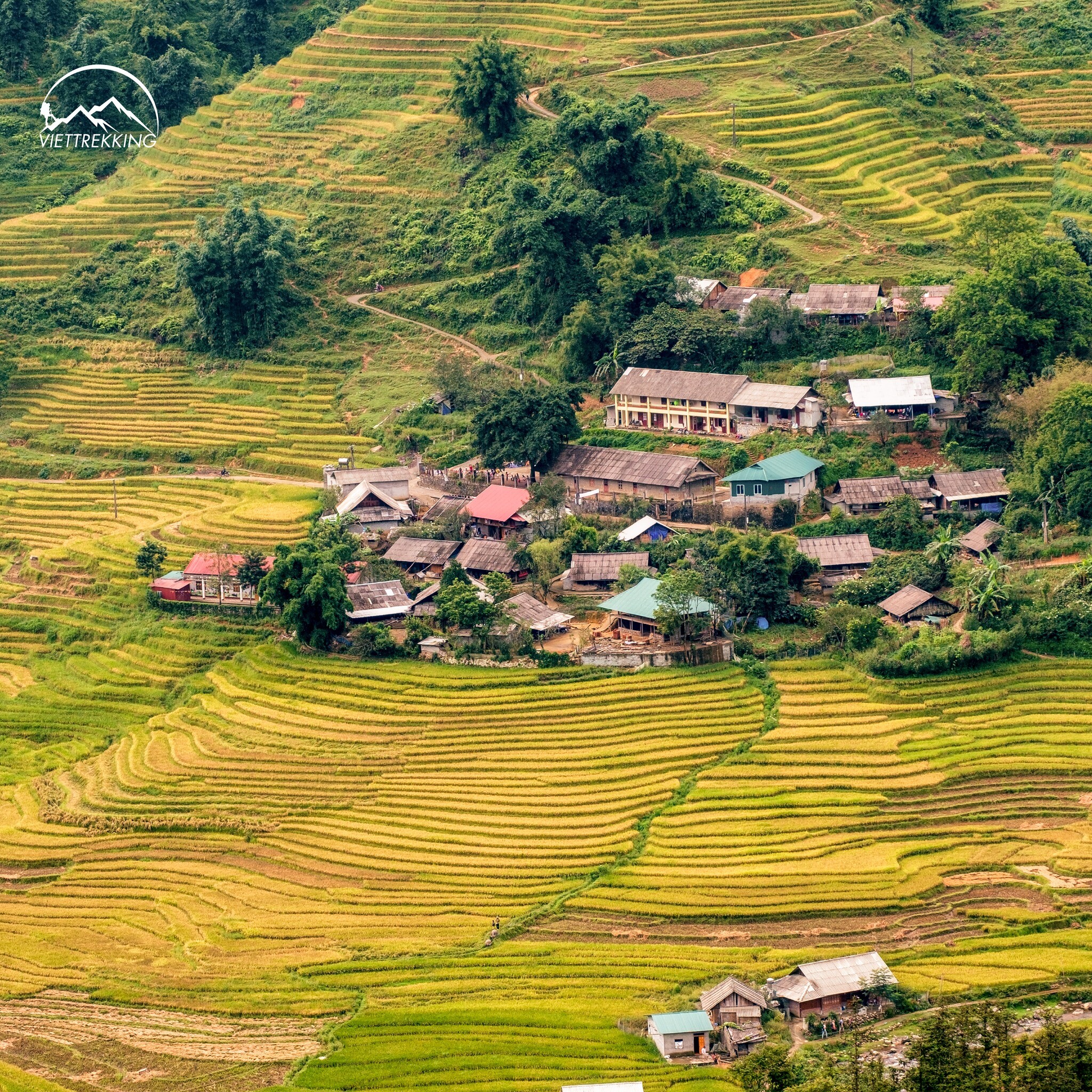 Dịch vụ du lịch Việt Trekking 1