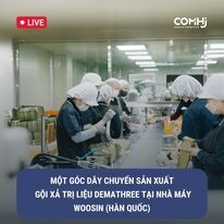 Xuất Nhập Khẩu Big International Việt Nam 10