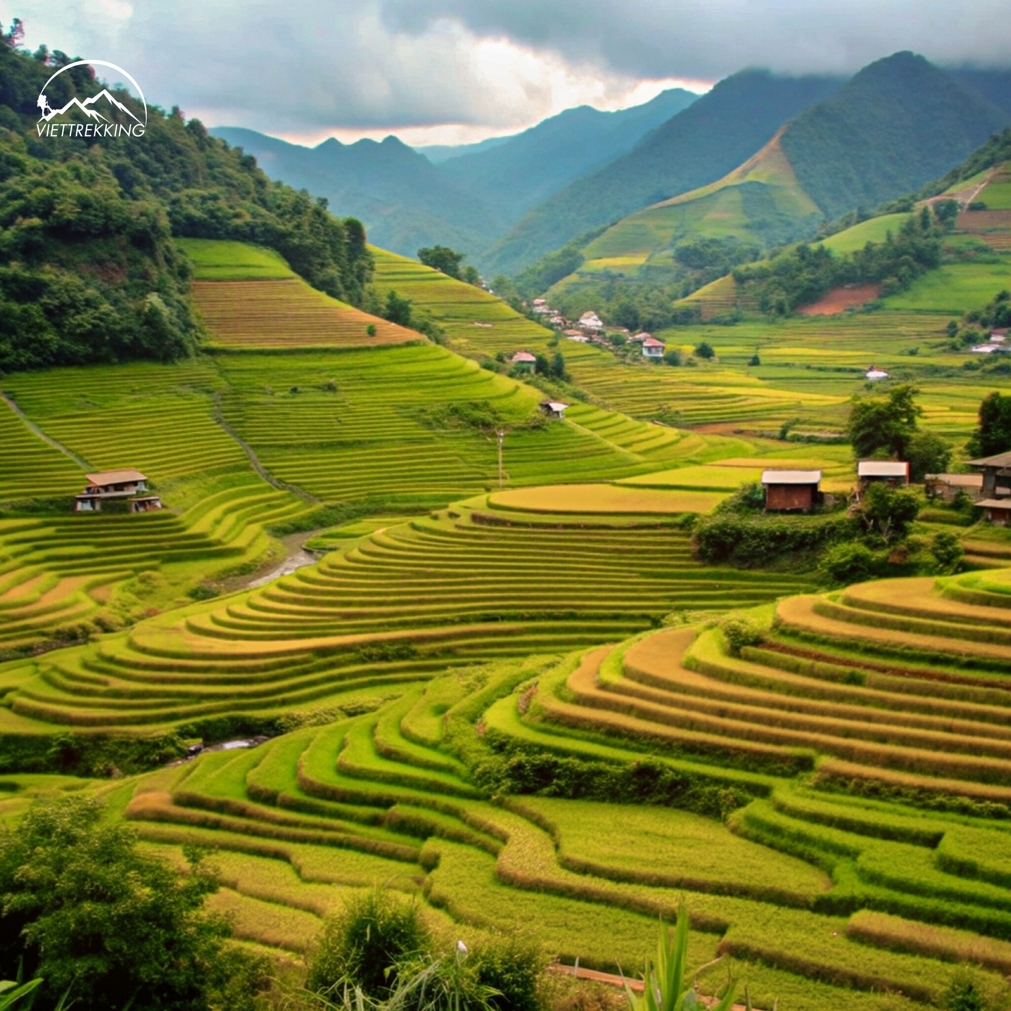 Dịch vụ du lịch Việt Trekking 2