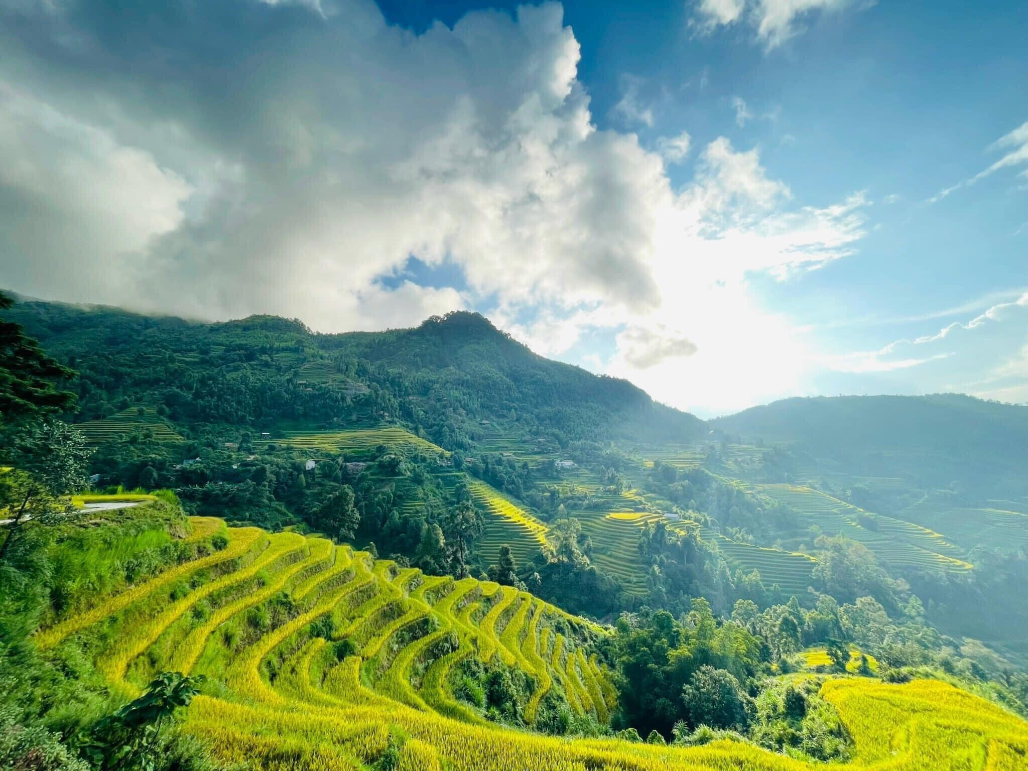 Thương Mại F.C Việt Nam 3