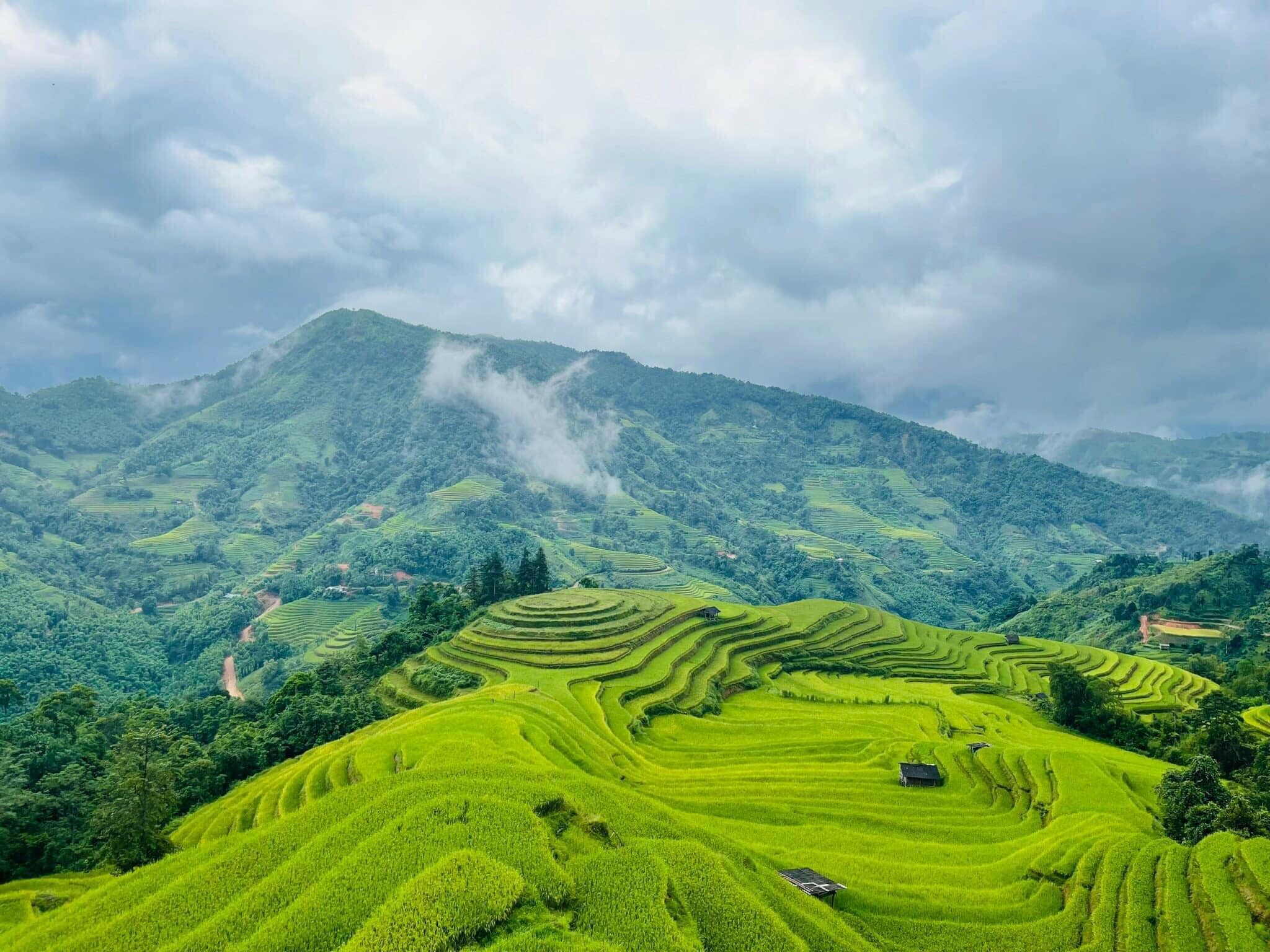 Thương Mại F.C Việt Nam 4