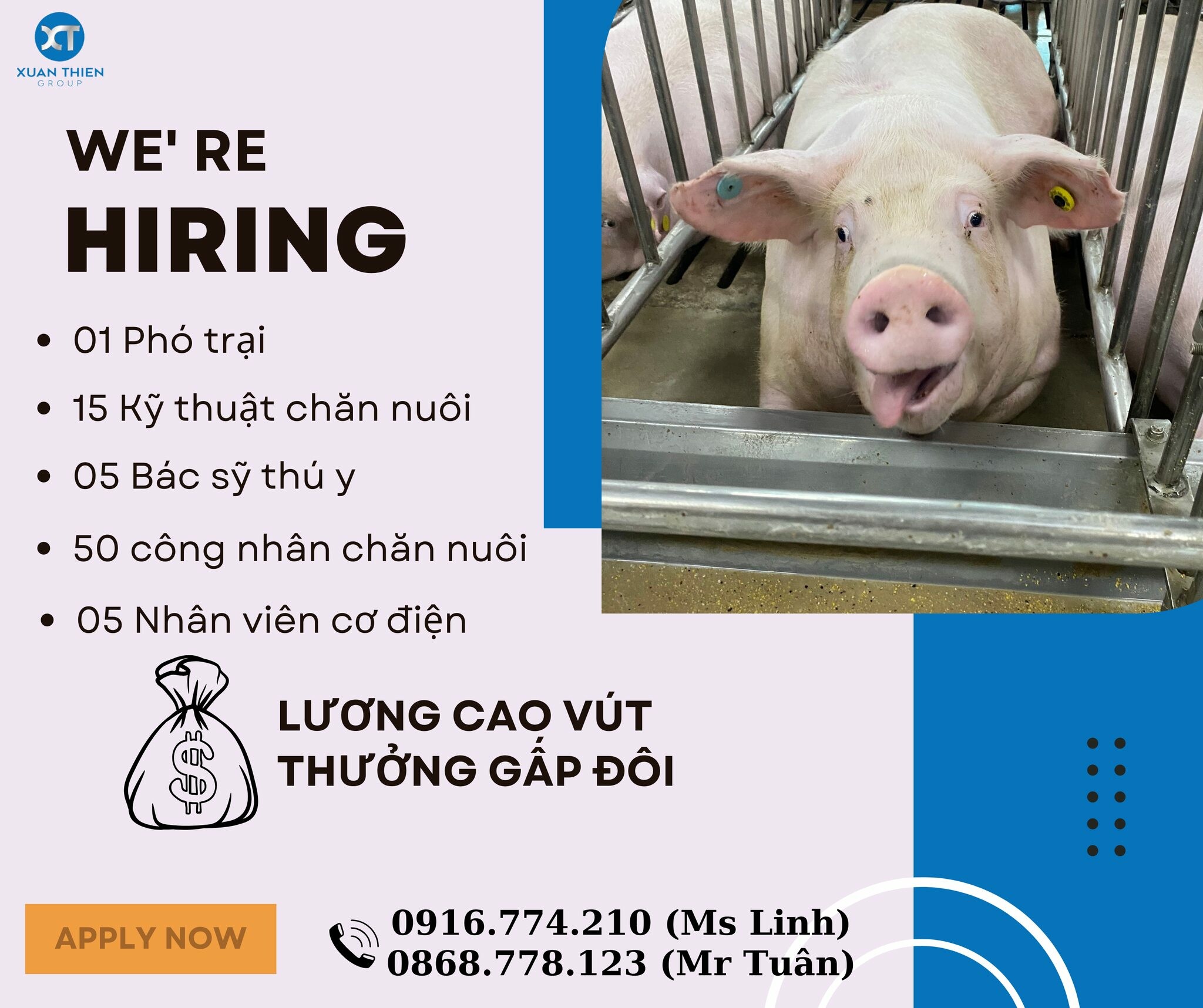 Nông Sản Xuân Thiện Thanh Hóa 5