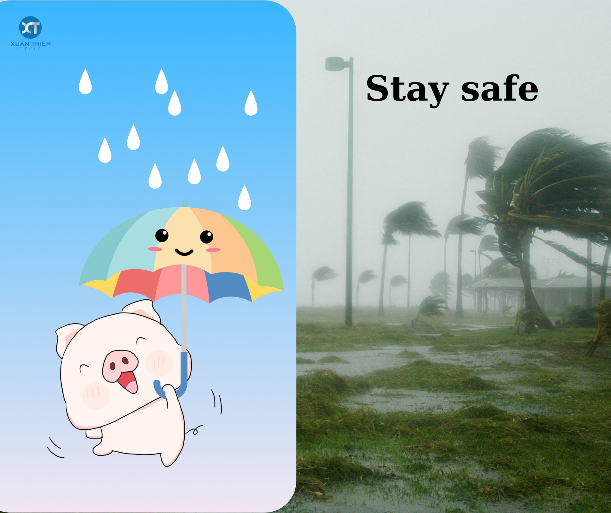 Nông Sản Xuân Thiện Thanh Hóa 6