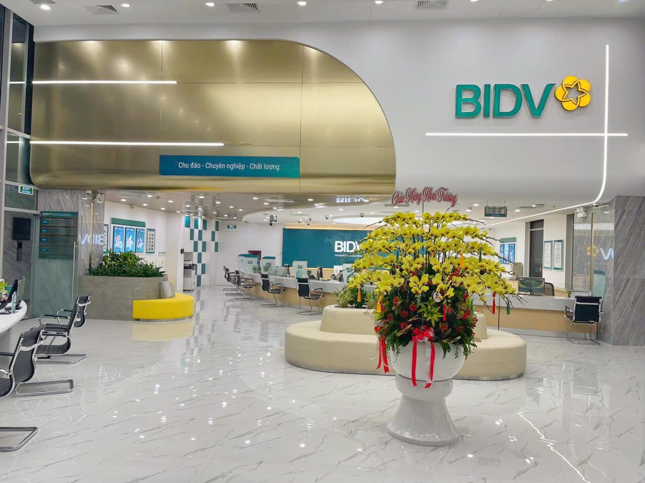 Xây Dựng Và Thương Mại Bắc Phú Hưng 8