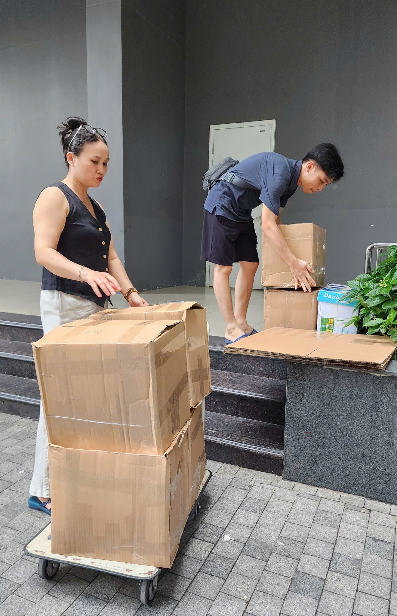 Dịch Vụ Tư Vấn Thiết Kế IBSTAC 10