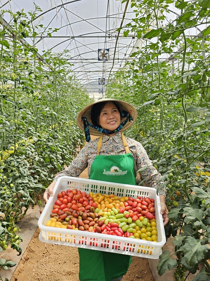 Trang Trại Langbiang 6