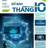 Trung Tâm Tin Học VnPro 10