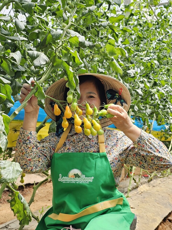 Trang Trại Langbiang 3