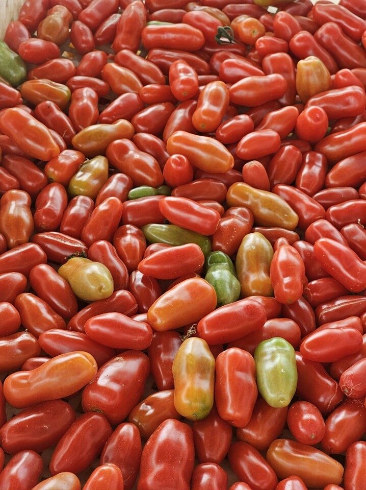 Trang Trại Langbiang 4