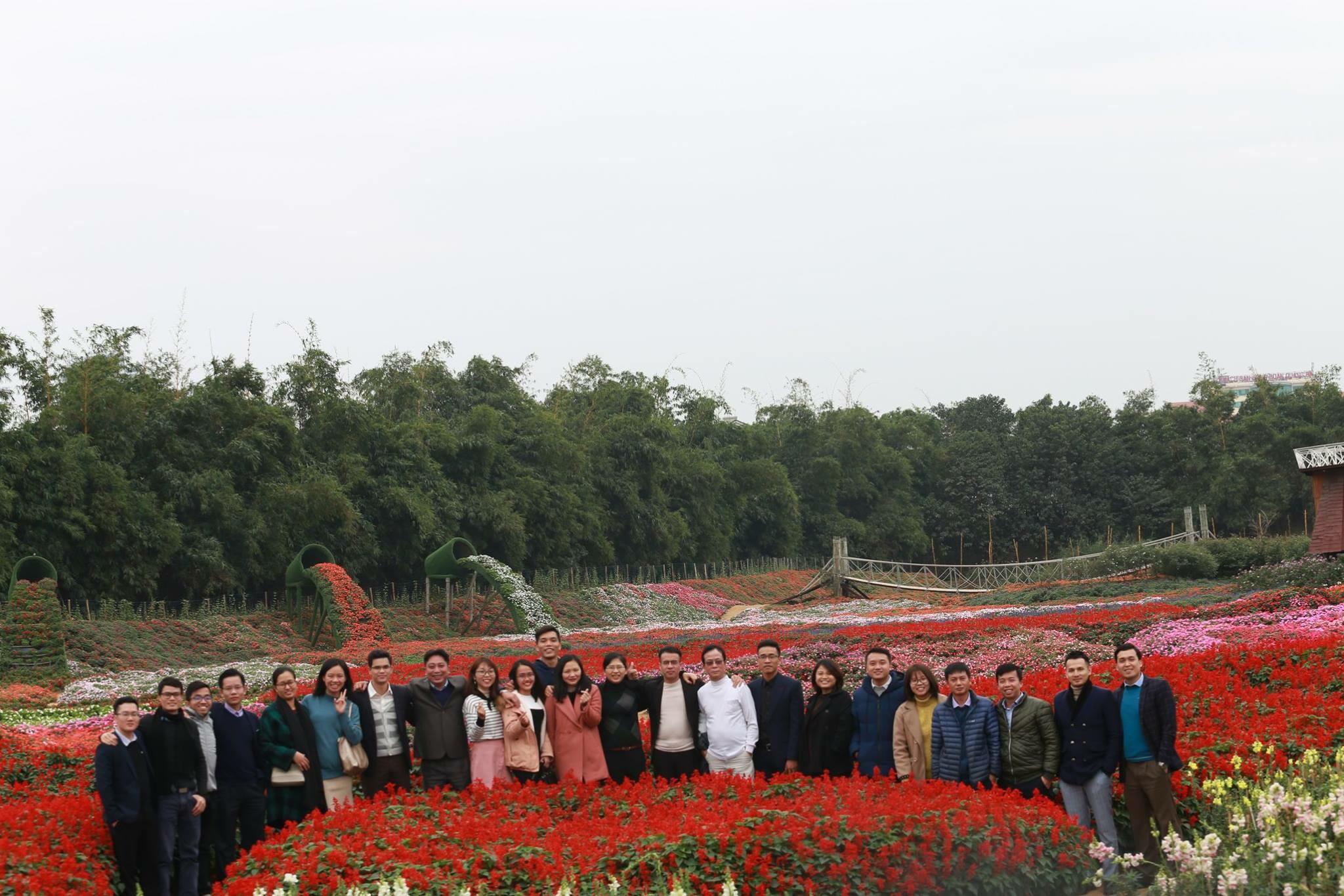 Tư vấn và Kiểm toán Quốc tế (AC) 7