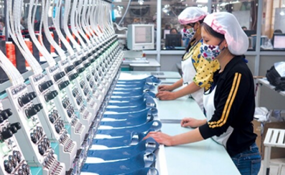 SƠN HÀ (MAY XUẤT KHẨU) 9