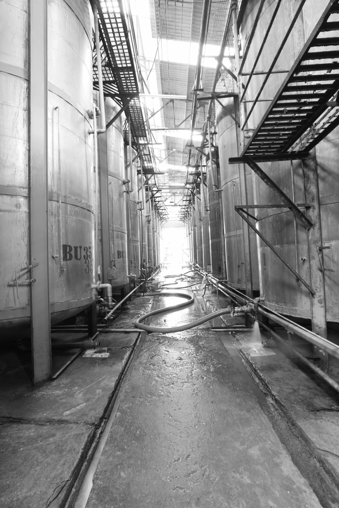 HUY VIỆT TÂY ĐÔ 5