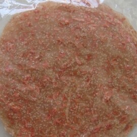 Xuất Nhập Khẩu Nguyên Vy 8