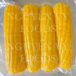 Xuất Nhập Khẩu Nguyên Vy 12