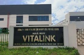 VITALINK VIỆT NAM 7