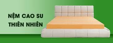 Nệm Tân Thăng Phú 7