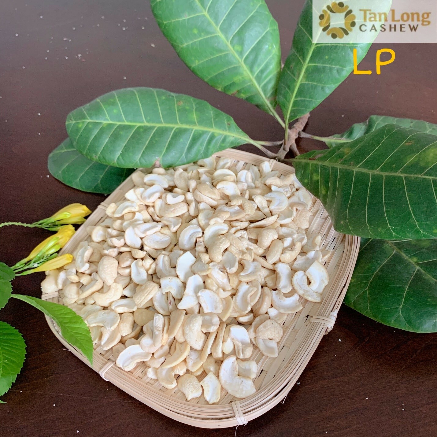 Nông nghiệp Việt Phi 9