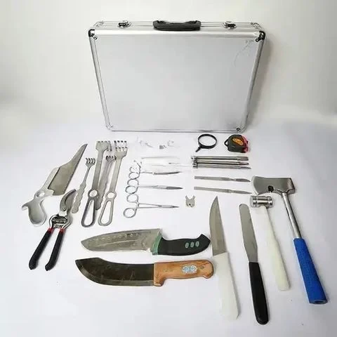 Xuất khẩu nông nghiệp Trần Gia 4