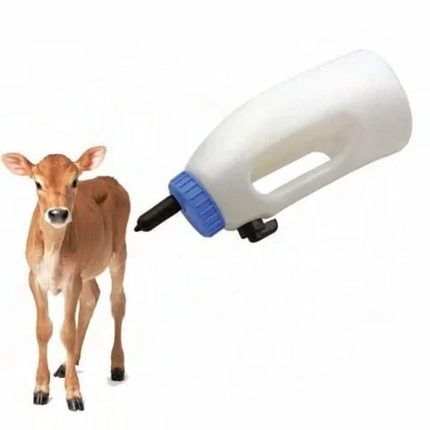 Xuất khẩu nông nghiệp Trần Gia 10