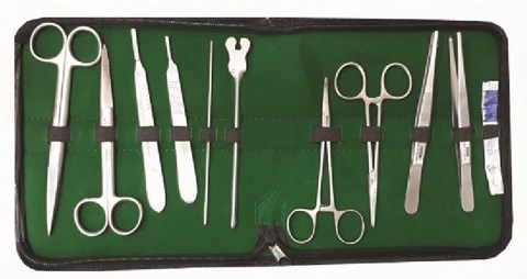 Xuất khẩu nông nghiệp Trần Gia 3