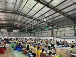 Tiger Team Industry 10