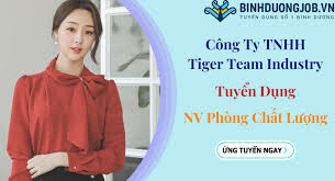 Tiger Team Industry 8