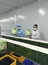 CÔNG TY TNHH SẢN XUẤT MỸ PHẨM NTK 6